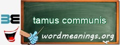 WordMeaning blackboard for tamus communis